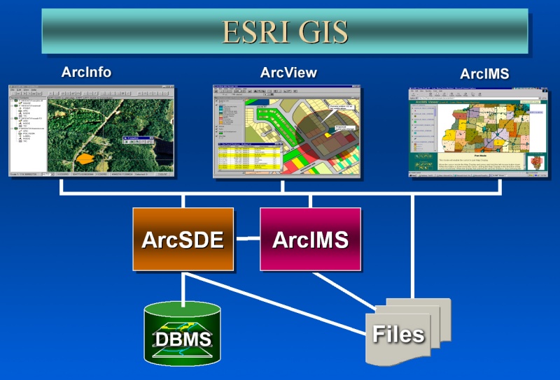 Файл:ESRI GIS interconnections.jpg